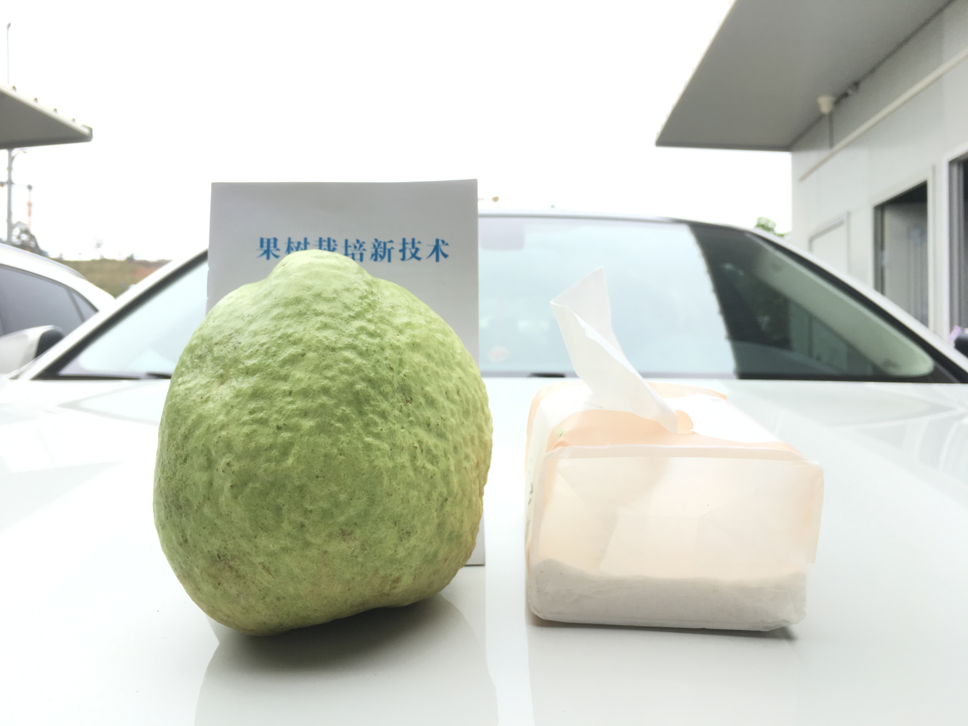 红宝石6.JPG