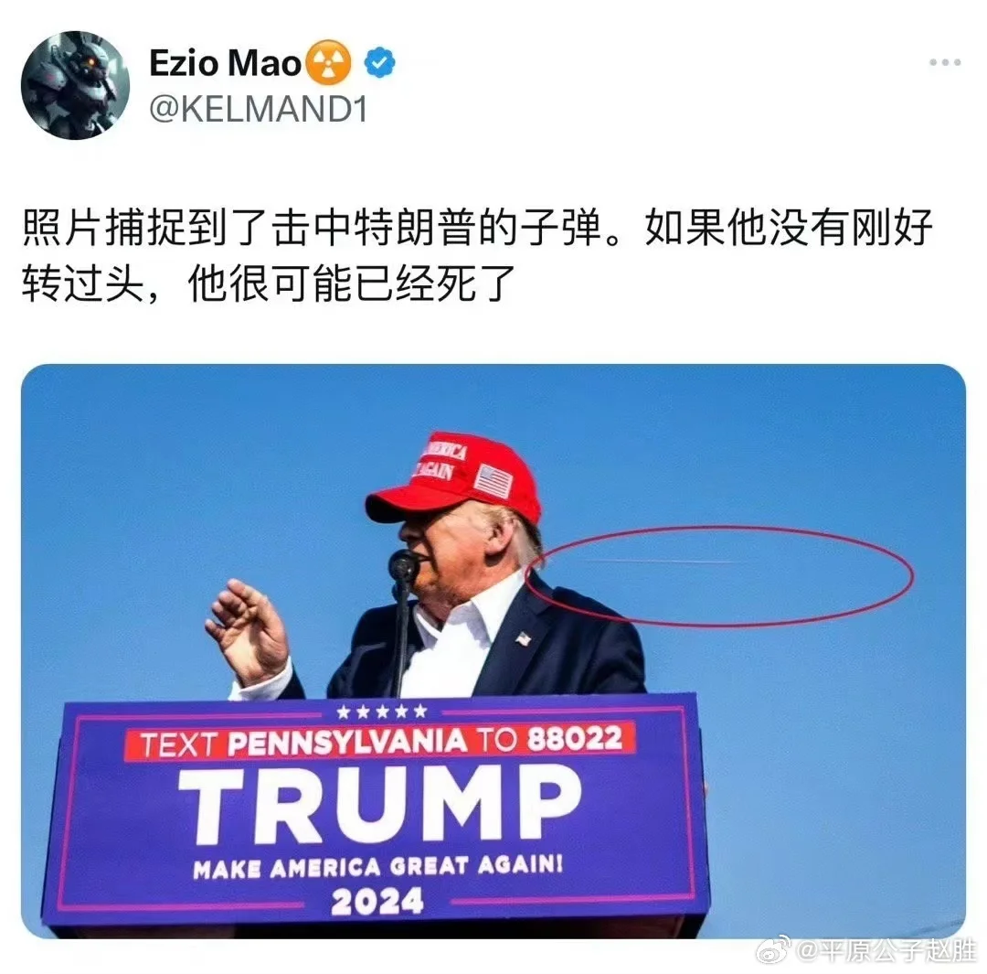 从新闻学的角度看，“特朗普挥拳怒吼”是一张完美的照片